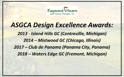 Why They Call Me “Renovation Ray”