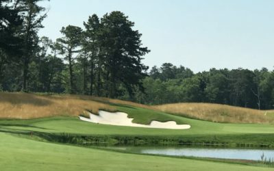 2021: Year in Summary