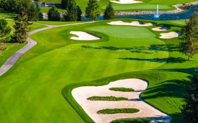 Coming in Spring: The Cardinal